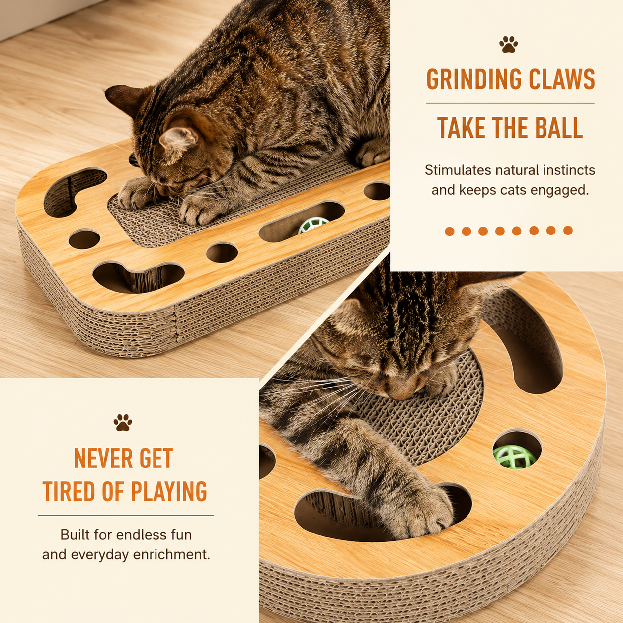 Interactive Cat Scratching Board